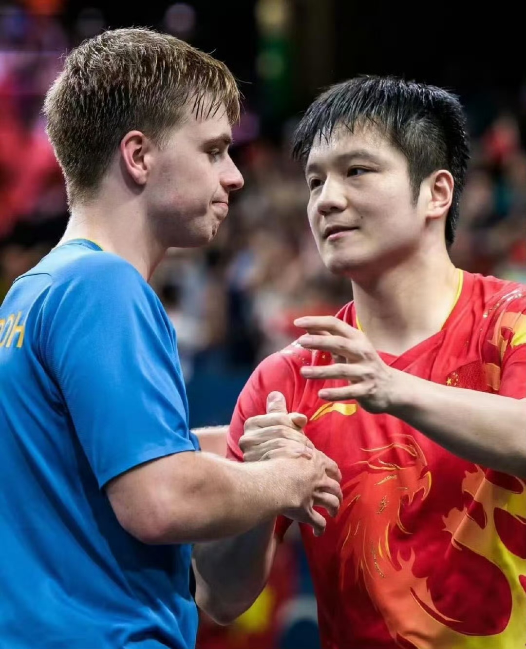 德国乒乓球队逆转韩国乒乓球队，波尔送出助攻