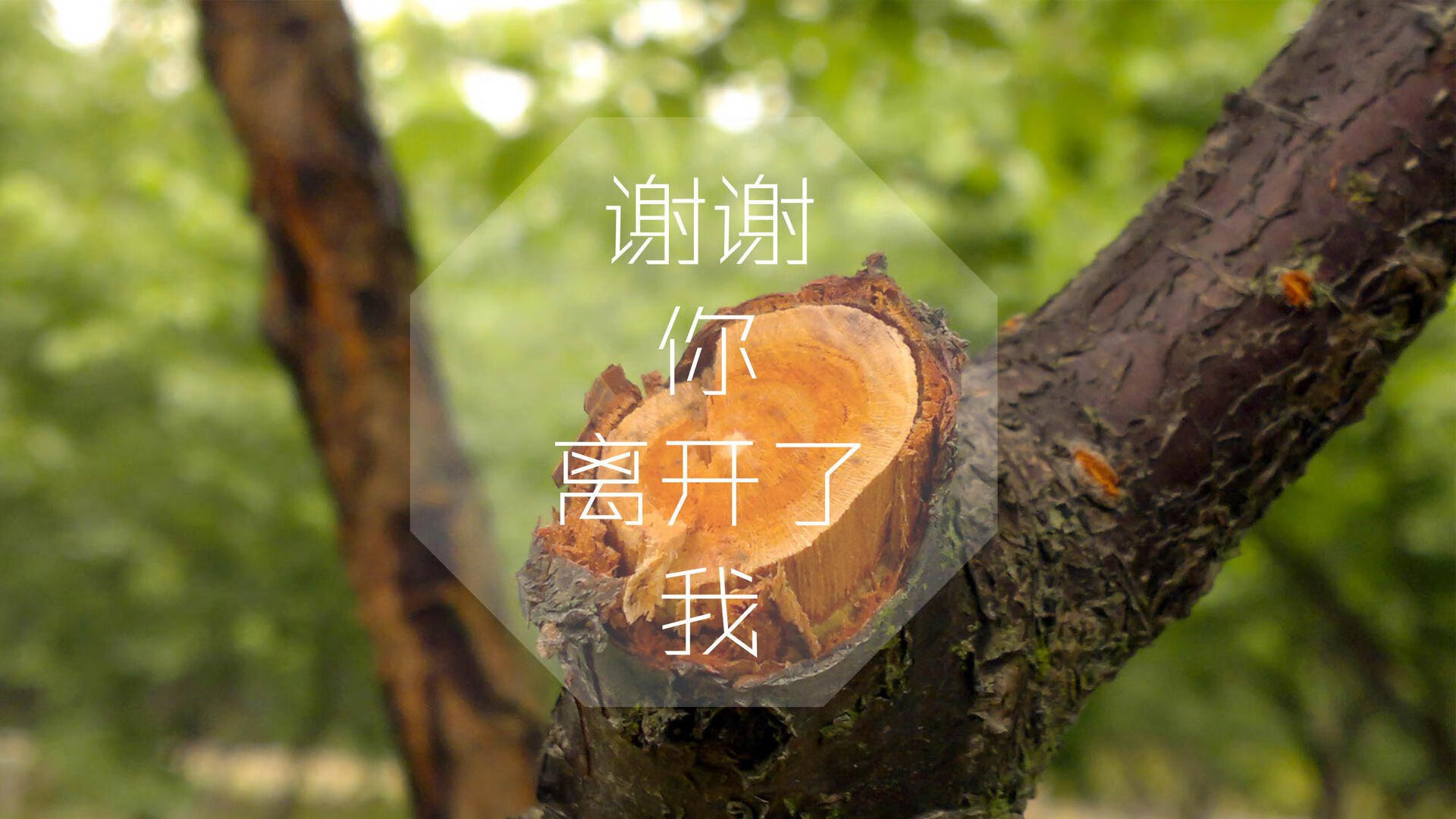梅西存在感拉满！比利亚雷亚尔强行终结AC米兰，欧冠之夜见证黄色潜水艇的逆袭