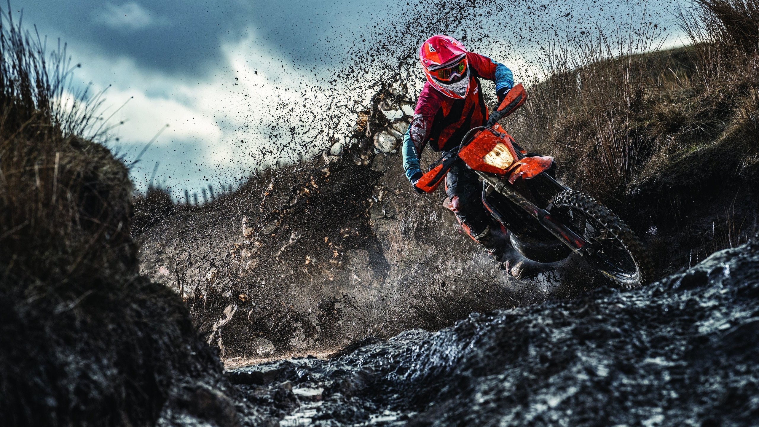 钢铁洪流下的绿茵交响，多特蒙德强压乌克兰，法比尼奥化身关键先生