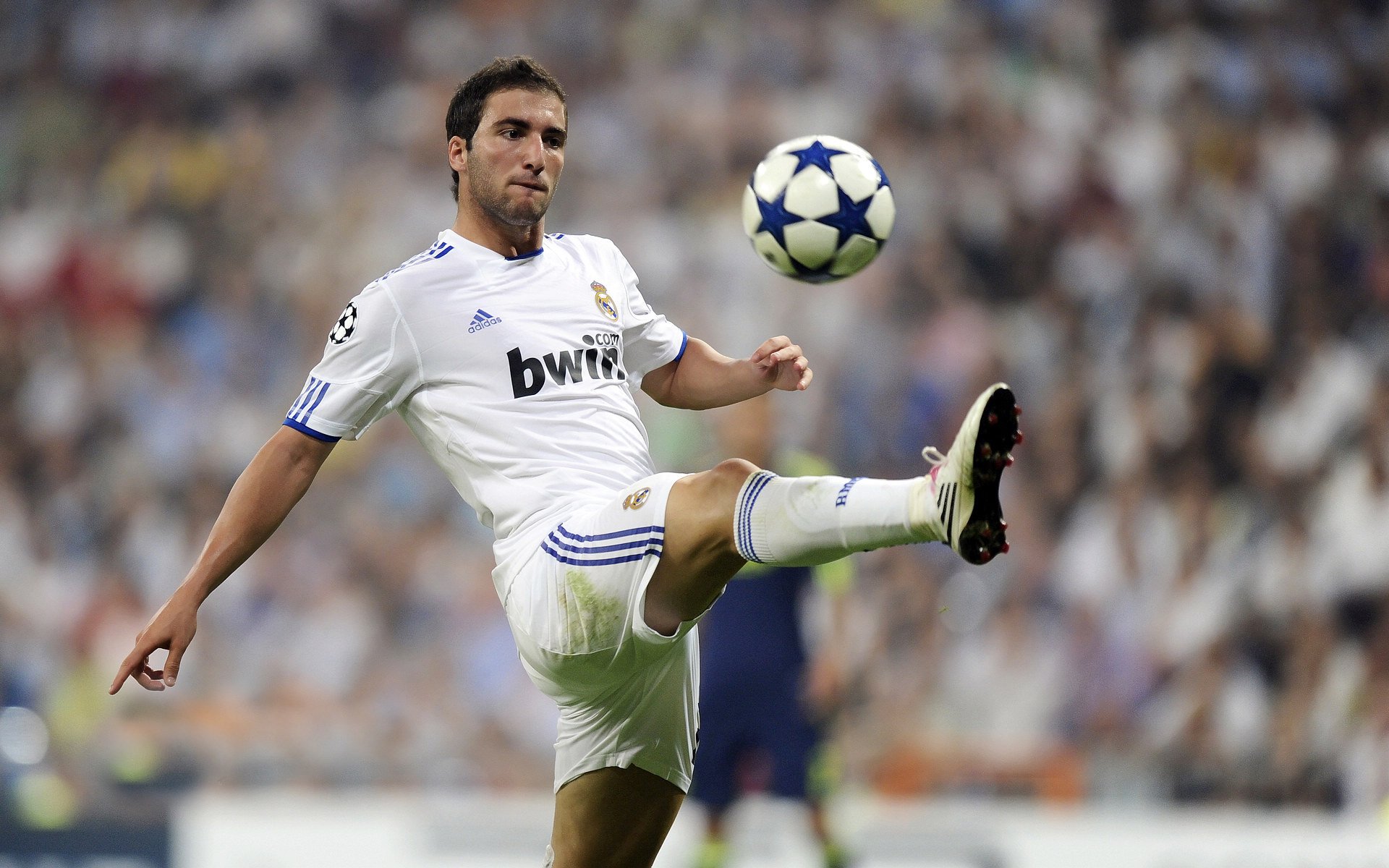 黄蜂的节奏掌控者，霍勒迪如何成为国王面前的大场面先生